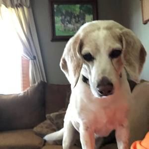 Meet your Posher, Melody